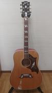 アコースティックギター|GIBSON