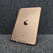IPAD MINI 第5世代|APPLE