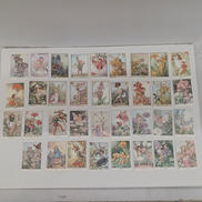 フラワーフェアリー|森永