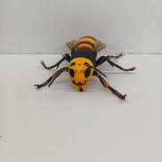 オオスズメバチ|海洋堂