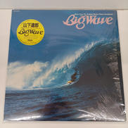 山下達郎 BIGWAVE|MOON RECORDS