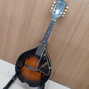 マンドリン|KALAMAZOO(GIBSON)