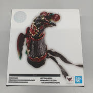 S.H.Figuarts(真骨彫製法) アンク|BANDAI