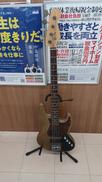 エレキベース|カスタム品(BARTOLINI / EDEN)