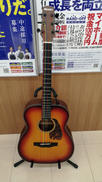 アコースティックギター|MORRIS