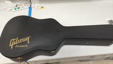 ハードケース|GIBSON