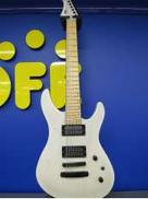 その他ボディタイプ|FUJIGEN