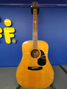 アコースティックギター|MORRIS