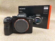 ミラーレス一眼レフ|SONY