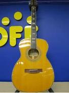 アコースティック|SUZUKI