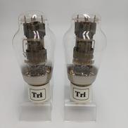 真空管ペア|TRIODE