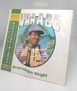SURPRISINGLY ALRIGHT 12" EP (G|TEMPORAL DRIFT