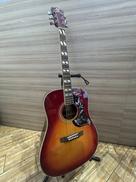 アコースティックギター|SEPIA CRUE