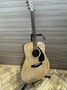 アコースティックギター|YAMAHA