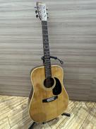 アコースティックギター|MORRIS