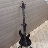 エレキベース|ARIA PROⅡ