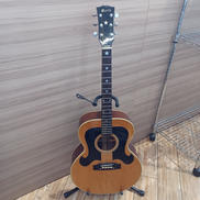 アコースティックギター|MORRIS