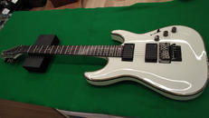その他ボディタイプ|SCHECTER
