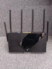 無線ルーター|TP-LINK
