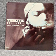 ICE CUBE - THE PREDATOR|PRIORITY