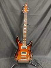 その他ボディタイプ|SCHECTER