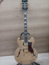 セミアコ|EPIPHONE