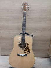 アコースティックギター|IBANEZ