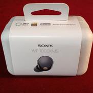 ワイヤレスイヤホン|SONY
