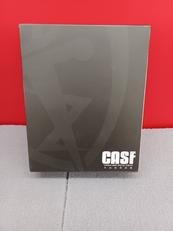 CASF|マイルストン