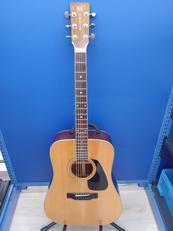 アコースティック|MORRIS