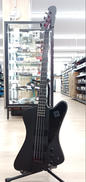エレキベース|EPIPHONE