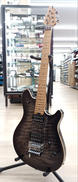 エレキギター|EVH