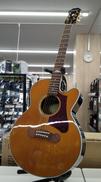 エレアコ|EPIPHONE