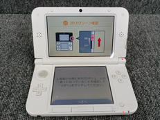 3DS LL