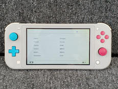 SWITCH LITE