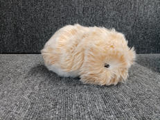MOFLIN(モフリン)|CASIO