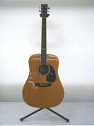 アコースティックギター|CAT'S EYES