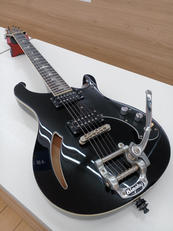 ホロウボディ|PRS