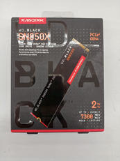 SSD|WESTERN DIGITAL
