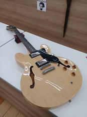 ホロウボディ|EPIPHONE
