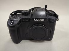 デジタルミラーレス一眼カメラ|PANASONIC