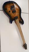 フェンダー系・その他ボディタイプ|EVH