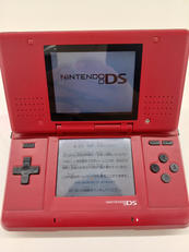 DS|NINTENDO / 任天堂