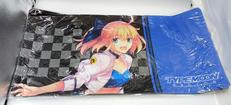 TYPE-MOON RACING|トイズ・プランニング