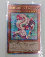 遊戯王|KONAMI