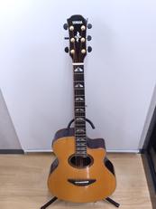 アコースティックギター|YAMAHA