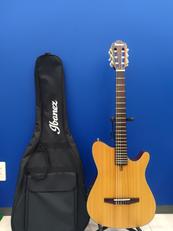 エレガットギター|IBANEZ