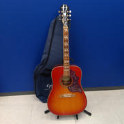 エレアコ|EPIPHONE