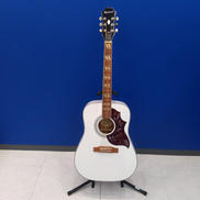 HUMMINGBIRD PRO/AW|EPIPHONE