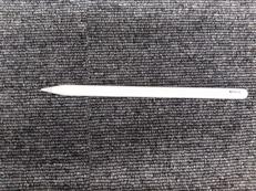 APPLE PENCIL|APPLE
